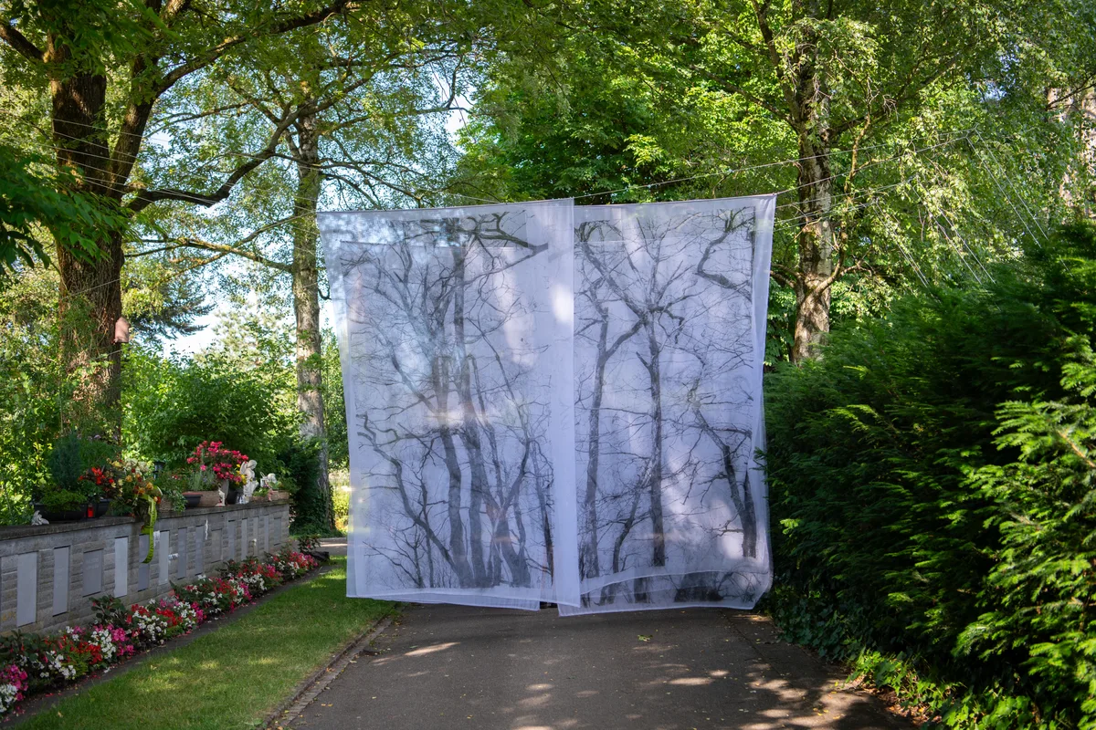 Ein Vorhang mit Baumsilhouetten mitten auf dem Friedhof Uster.